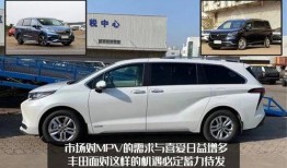 国产19p,引领科技潮流的创新之作