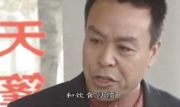 国产ed2k,探索创新与传承的数字时代新篇章