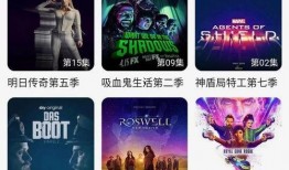 国产vip,引领影视潮流的璀璨明珠