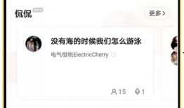 国产开房,揭秘中国住宿业的创新与变革