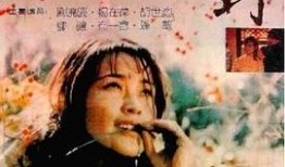 国产对白乱,对白之乱，笑料横生