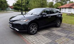 国产19p,引领科技潮流的创新之作